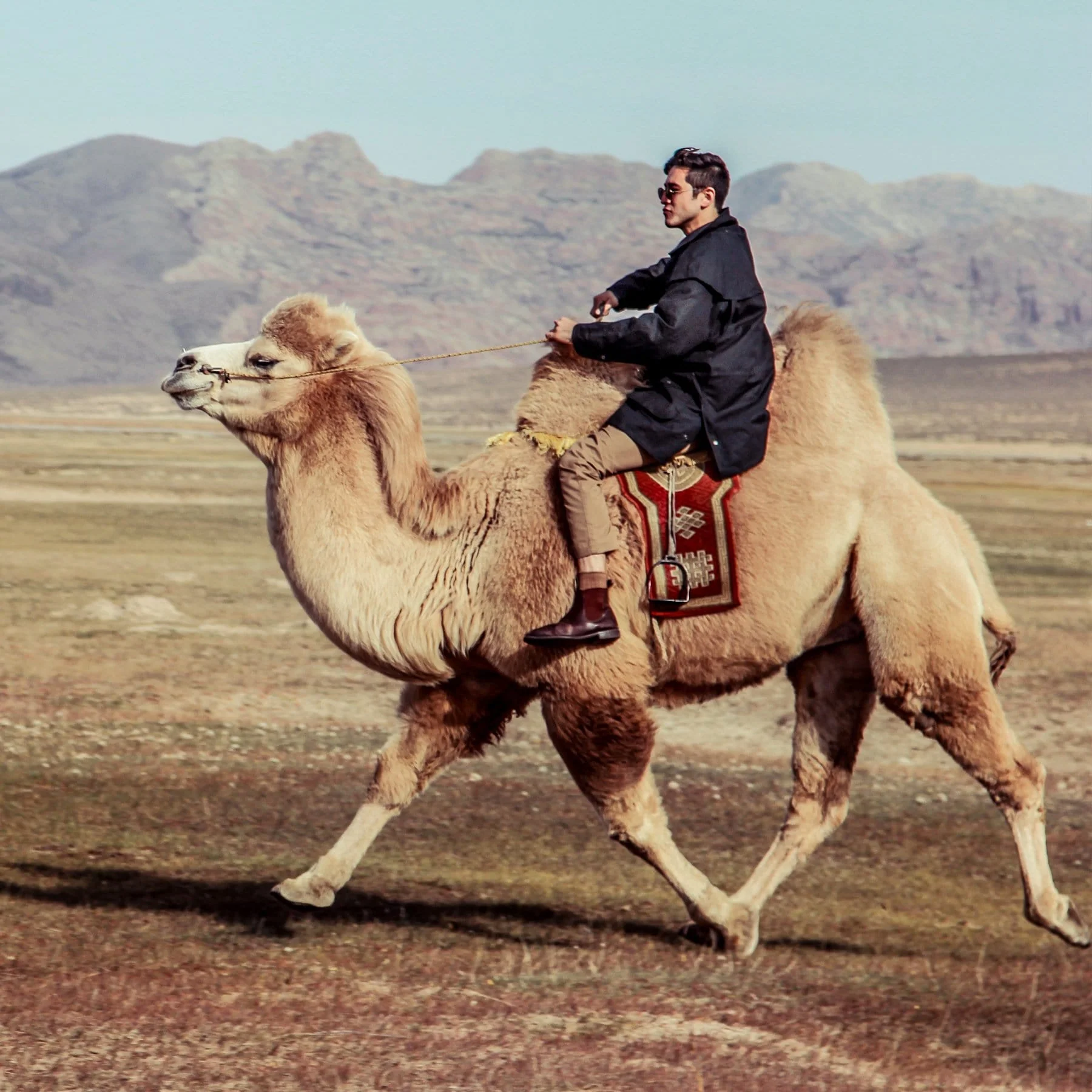 Workhorse Drover Jacket - Image 27