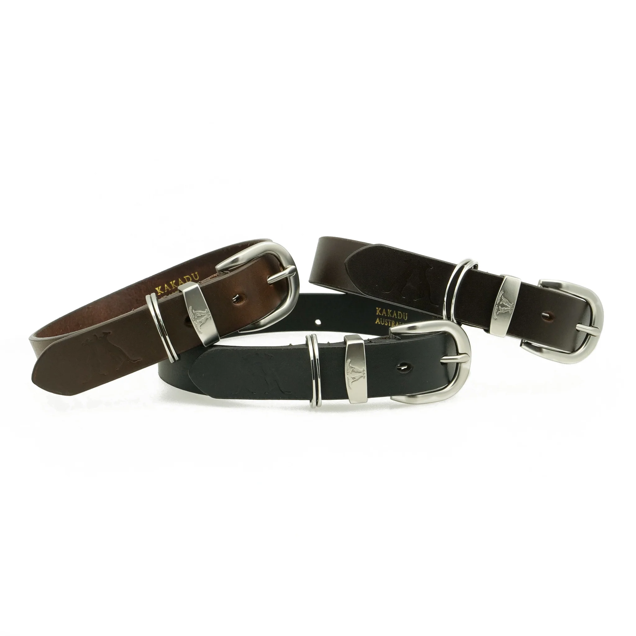 Dog Collar 28mm with Silver Buckle - Image 10