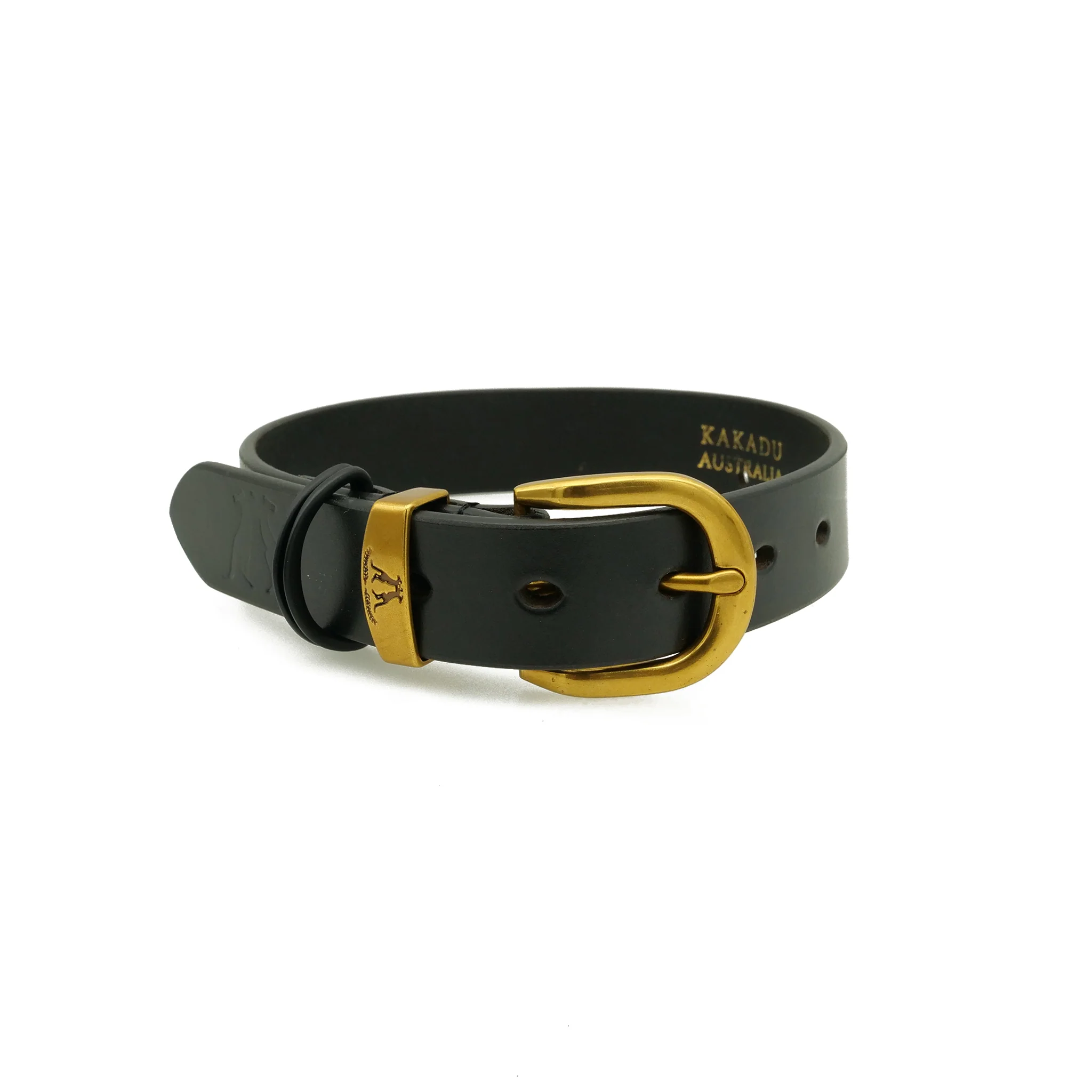 Dog Collar 28mm with Gold Buckle
