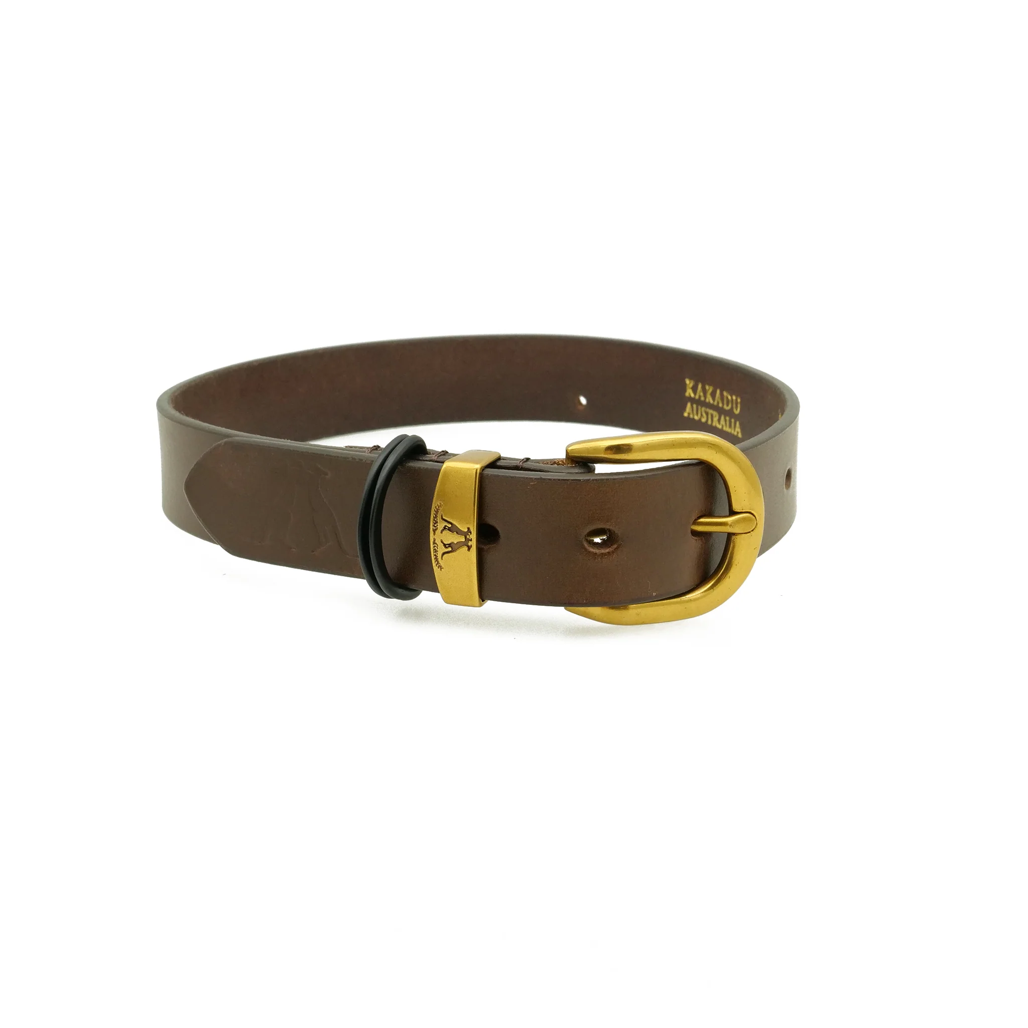 Dog Collar 28mm with Gold Buckle - Image 11