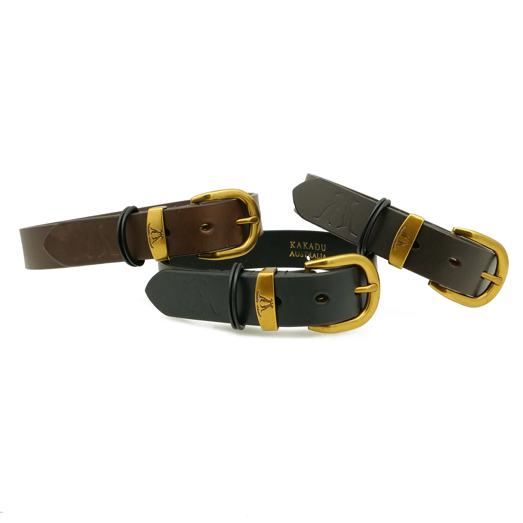Dog Collar 28mm with Gold Buckle - Image 14