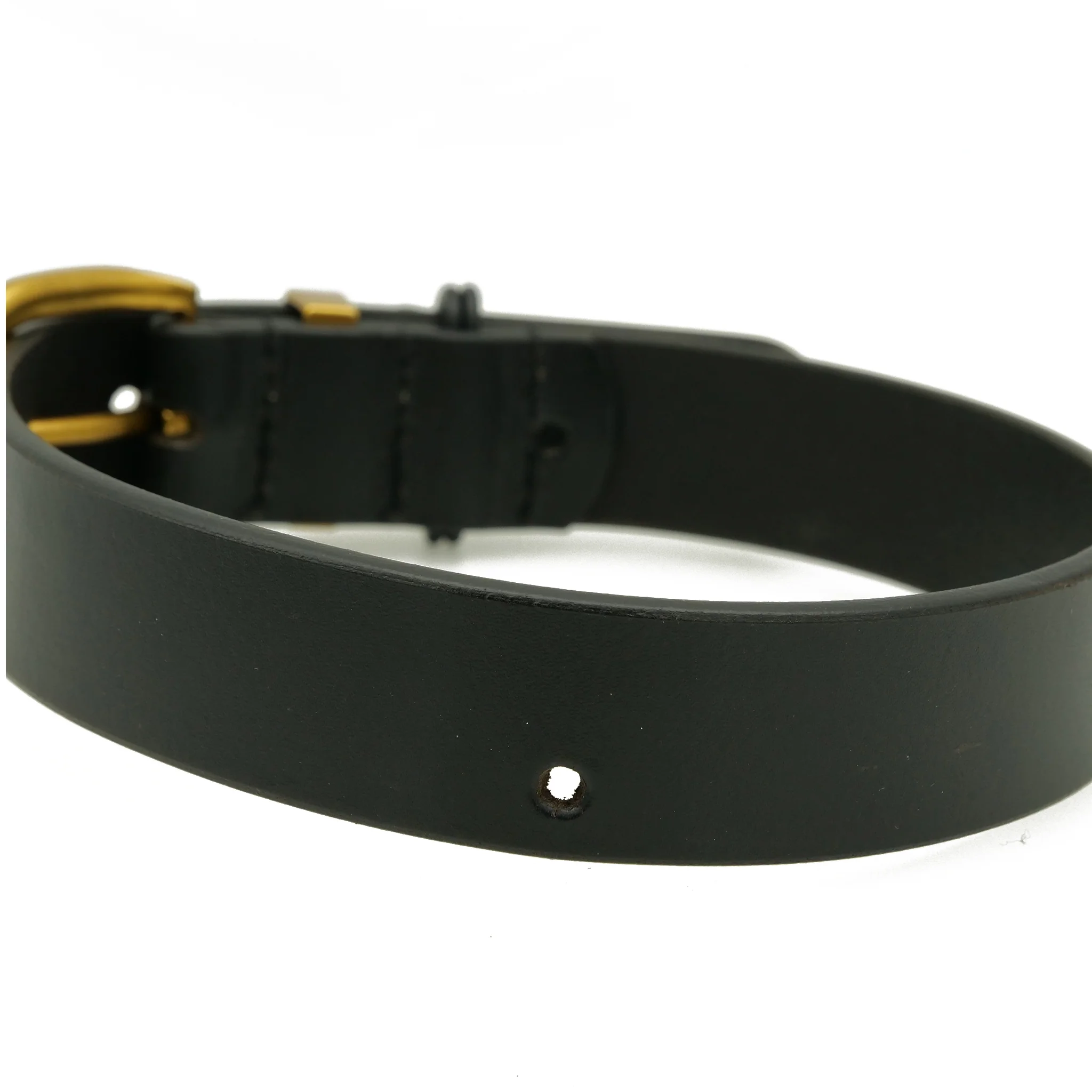 Dog Collar 28mm with Gold Buckle - Image 4