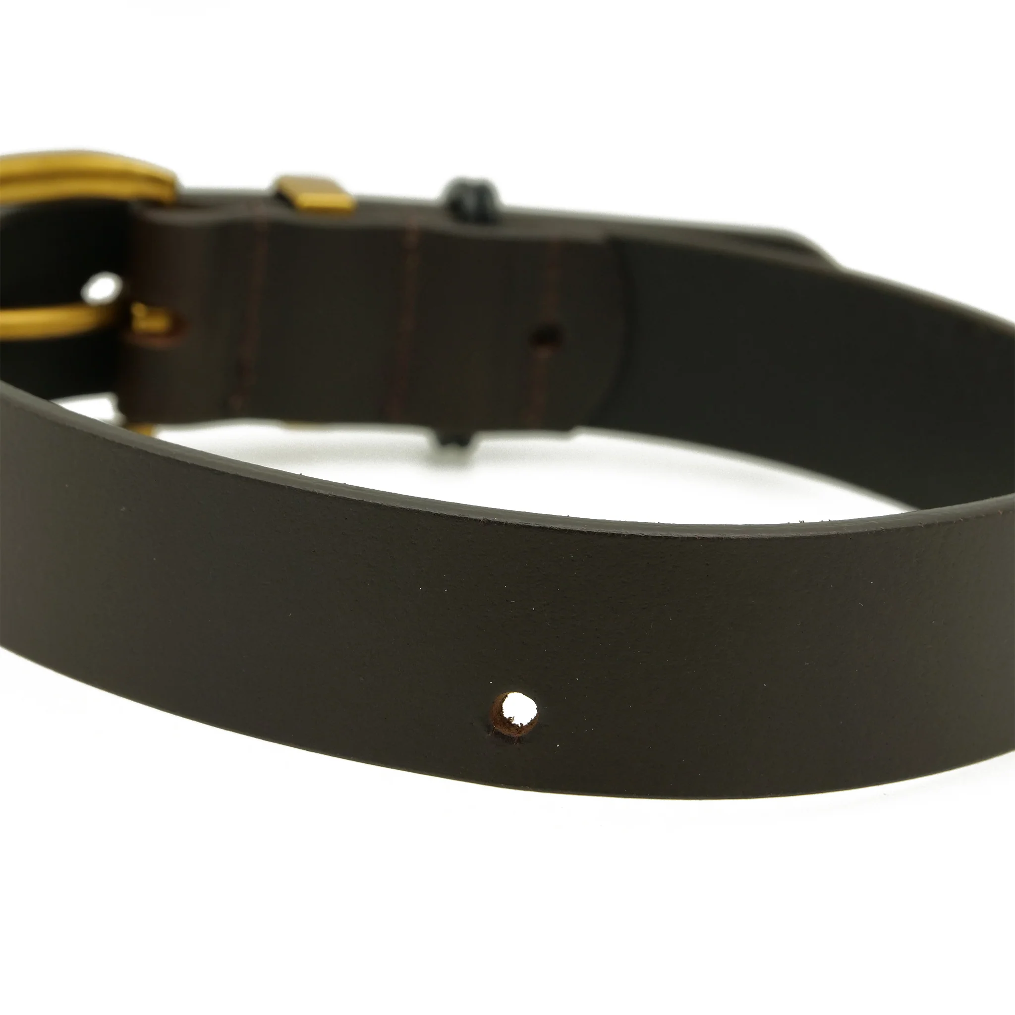 Dog Collar 28mm with Gold Buckle - Image 9