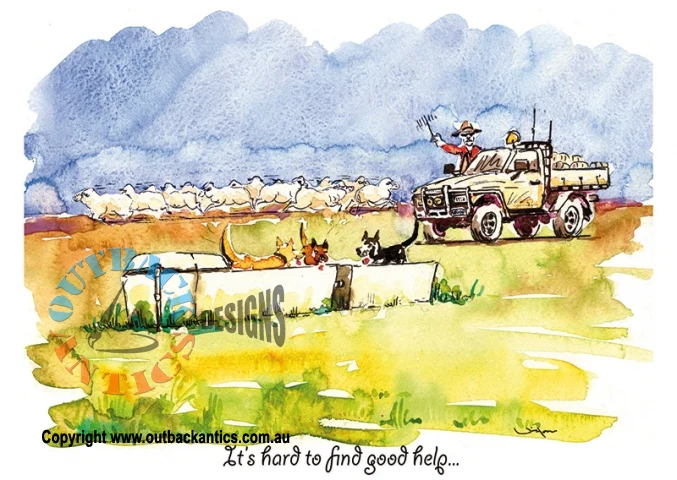 "Hard To Find Good Help" Aussie Bush Greeting Card - Image 3